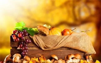 秋季養生家中必備食材10大排行榜，中醫養生保健服務指南